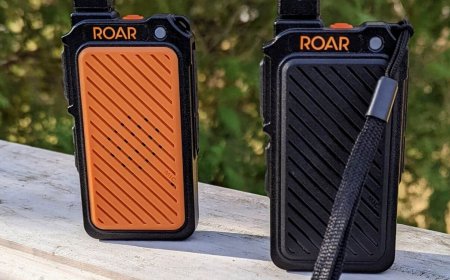 The Roar Baby Monitor: Extraordinary for the Outdoors