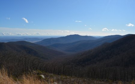 Great Camping Spots in Virginia