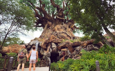 Disney’s Animal Kingdom: zoological edutainment