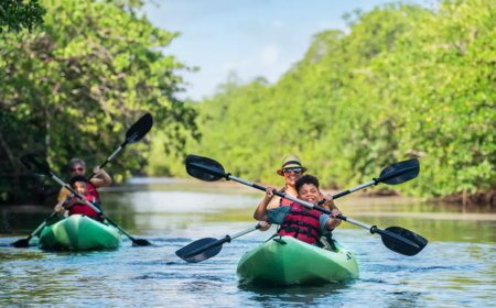 6 adventurous ways to explore Florida’s largest theme park