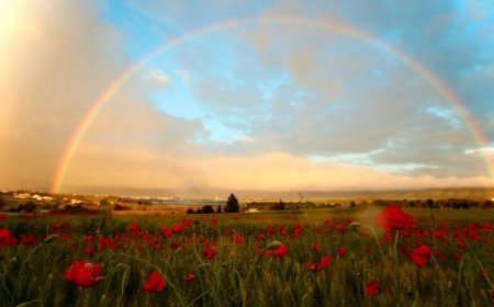 The Rainbow Influence