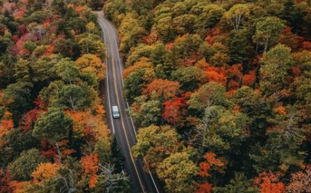 Top 10 Foliage-Filled Fall Getaways