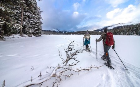 I Just Went Snowshoeing. I Have Notes
