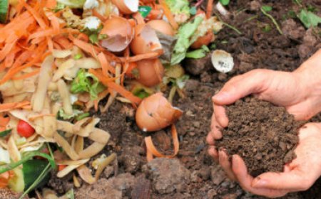 Op-Ed | Composting for all