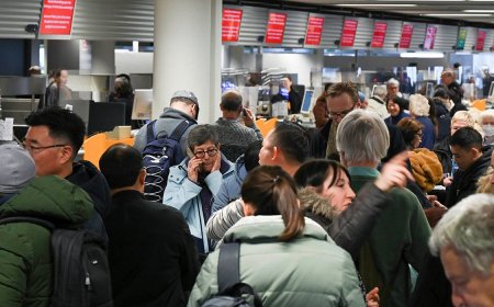 IT Failure Grounds Lufthansa Flights Worldwide