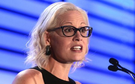 Kyrsten Sinema paid Tulsi Gabbard’s sister over $300K for ‘security’ assistance