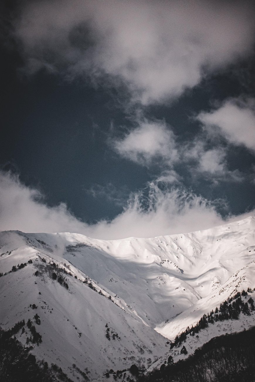 US World Champion Skier Killed in Avalanche