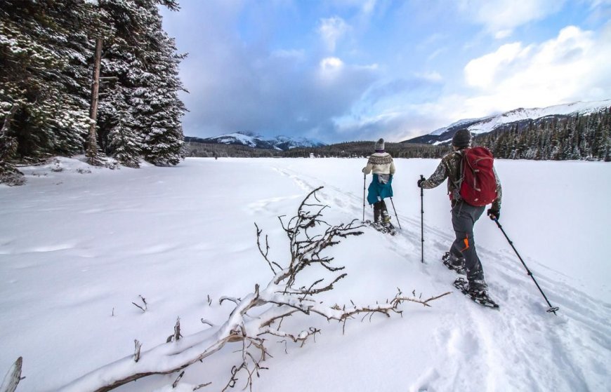 I Just Went Snowshoeing. I Have Notes