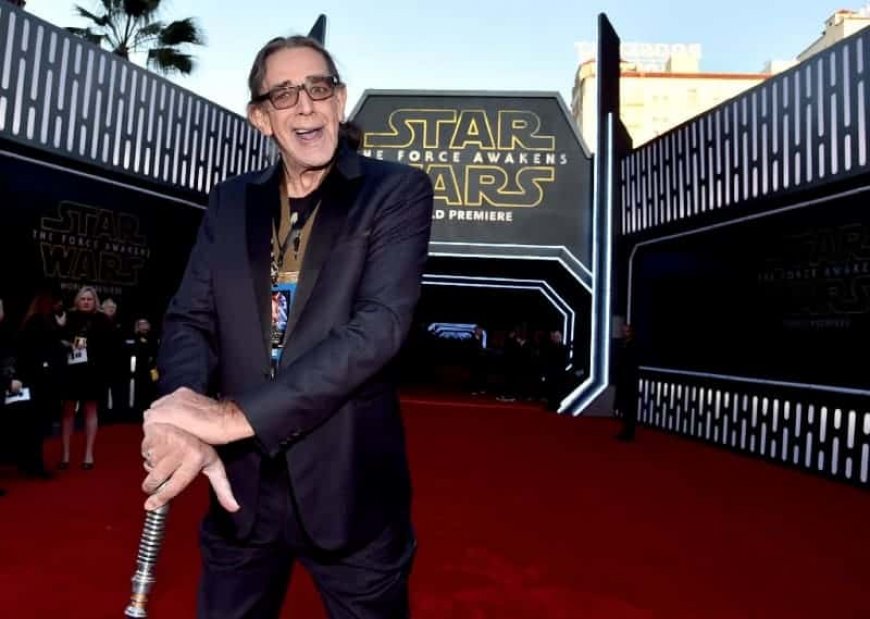 UK sale of Star Wars actor memorabilia dropped after widow’s plea