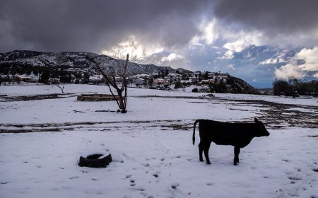 Rare Blizzard Warning in Southern California