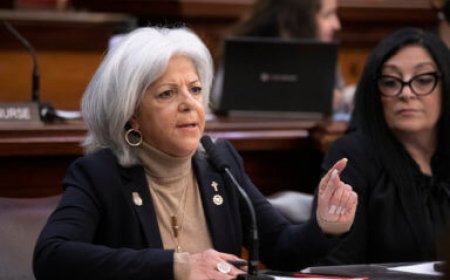 Council removes anti-LGBTQ Vickie Paladino from Mental Health Committee