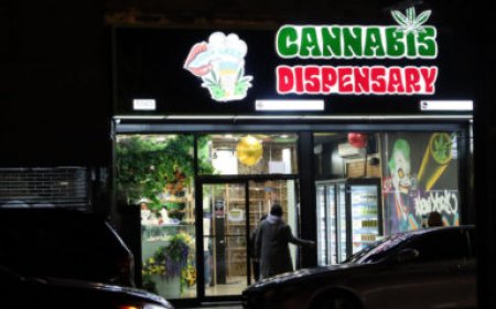 Potful of trouble: NYC stores skirting marijuana licensing rules, prompting legal confusion and safety concerns