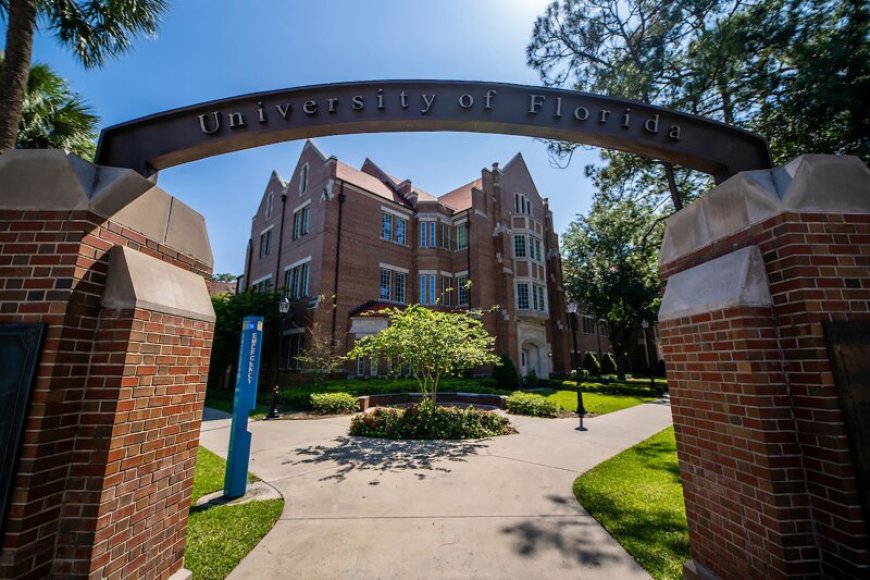 Students change university choices due to anti-LGBTQ laws