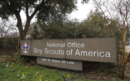 Boy Scouts insurers seek to delay $2.5 billion abuse deal, bankruptcy exit