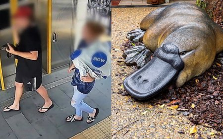 Australian Man Arrested After Stealing a Platypus From the Wild and Taking It on a Train
