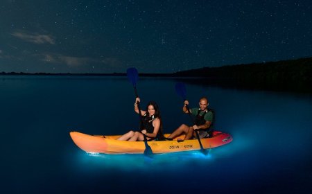 Discovering the Magic of Puerto Rico's Bioluminescent Bay