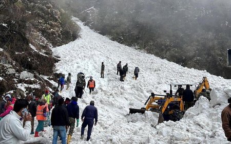 7 Dead After Tourists Swept Away in Avalanche