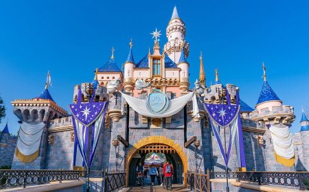 Insider Tips From the Man Who Visited Disneyland 2,995 Days in a Row