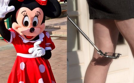 Disney Employee Admits Taking Videos Up Visitor’s Dresses and Skirts for the Last Six Years
