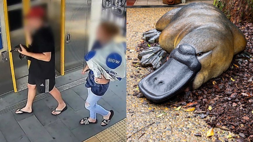 Australian Man Arrested After Stealing a Platypus From the Wild and Taking It on a Train