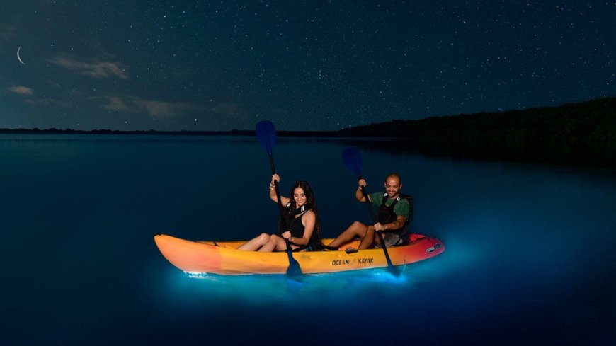 Discovering the Magic of Puerto Rico's Bioluminescent Bay