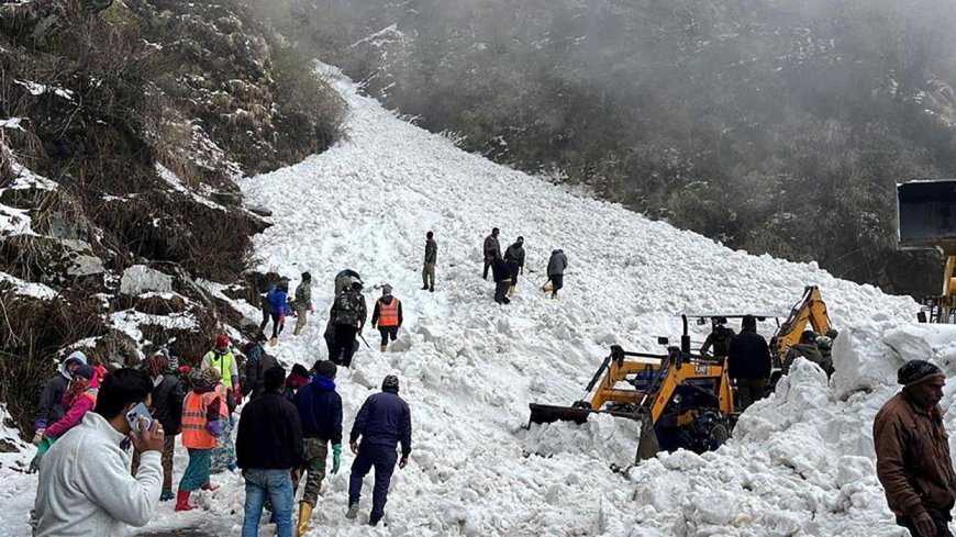 7 Dead After Tourists Swept Away in Avalanche