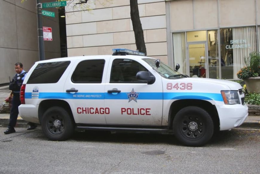 Probe underway after Chicago PD’s Twitter account liked anti-trans tweet