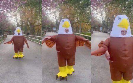 Do You Have What It Takes to Be a Human Seagull Deterrent?