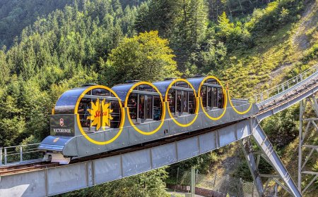 10 Strange and Spectacular Trains That Defy Convention