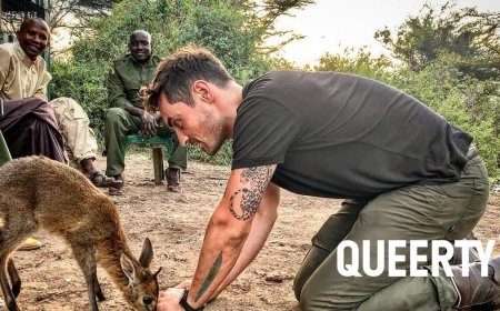 Wildlife presenter Dan O’Neill talks being gay, swimming with sharks & the ‘incredibly queer’ animal kingdom