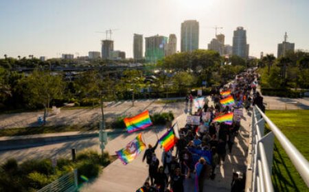 Largest US LGBTQ rights group issues Florida travel advisory for anti-LGBTQ+ laws