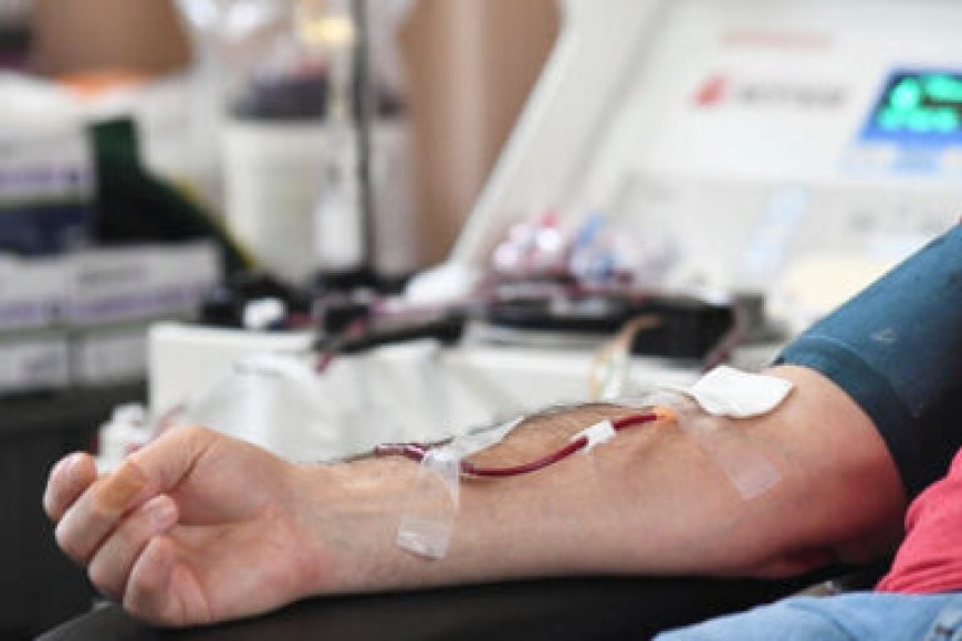FDA finalizes new gay blood donation policy