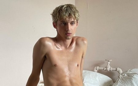 Troye Sivan Posts NSFW Photo in Bed