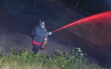 Vandals Deface Seattle Mural Of Drag Icon Divine