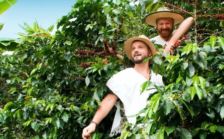 Medellín: The revitalized & reborn Colombian City of Eternal Spring