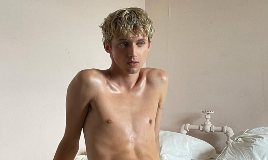 Troye Sivan Posts NSFW Photo in Bed