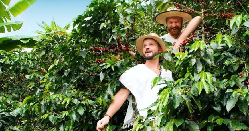 Medellín: The revitalized & reborn Colombian City of Eternal Spring