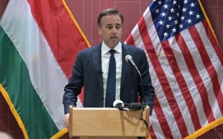 Embassies Warn Hungary Ahead Of Budapest Pride