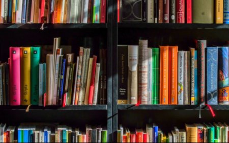 Kansas Town Seeks To Close Library Over LGBTQ Books