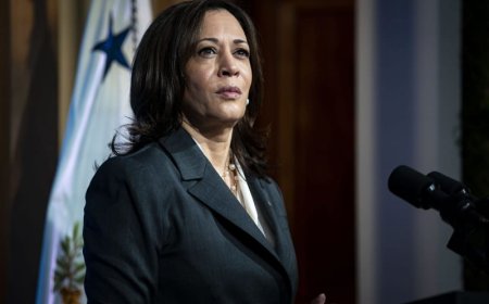 Kamala Harris criticizes DeSantis for curriculum rewrite that claims slaves gained valuable skills