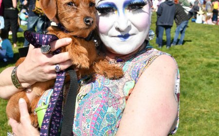 7 totally queer things to do in San Francisco