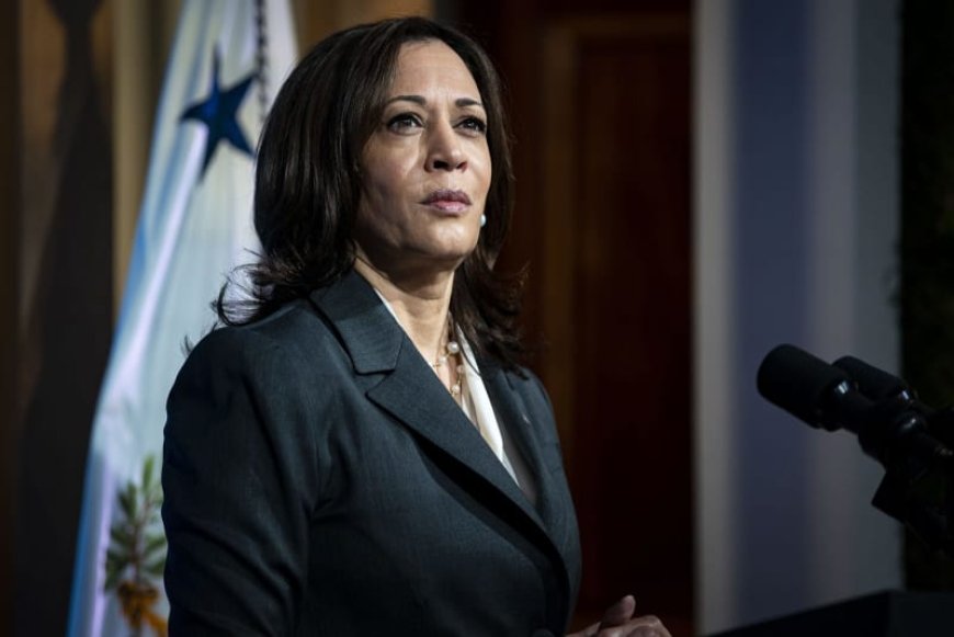 Kamala Harris criticizes DeSantis for curriculum rewrite that claims slaves gained valuable skills