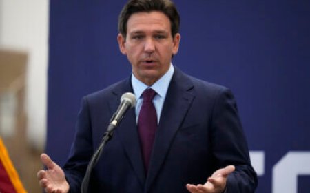 Florida loses AP psychology courses thanks to ‘Don’t Say Gay or Trans’ law