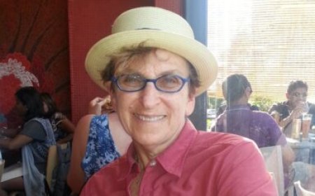 Cheri Pies, trailblazer for lesbian mothers, dies at 73