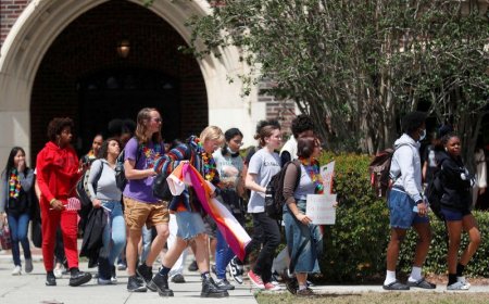 Florida effectively bans advanced psychology course over LGBTQ content – course developer