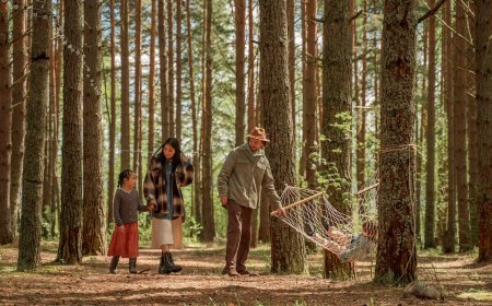 Your Essential Guide To Hammock Camping With Kids