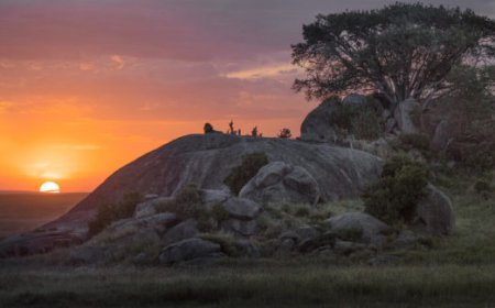 Sababu Safaris – Tanzania Gay Friendly Safaris