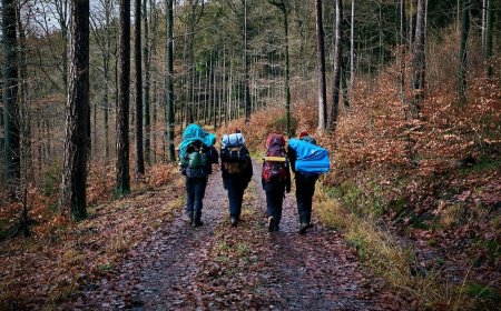 The Best Foods for Long Distance Backpacking