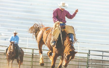 Republicans are losing their sh*t over imaginary gay cowboys riding bareback in Wyoming