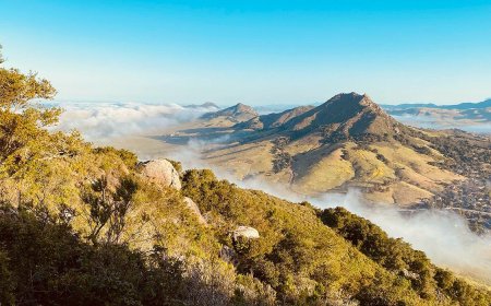 This California Coastal Gem is the Perfect Place to Wine, Dine, and Unwind